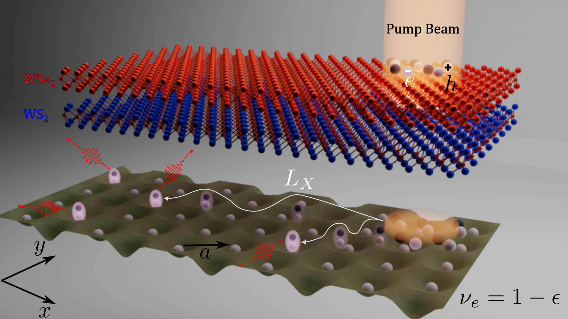 Giant enhancement of exciton diffusion near an electronic Mott insulator