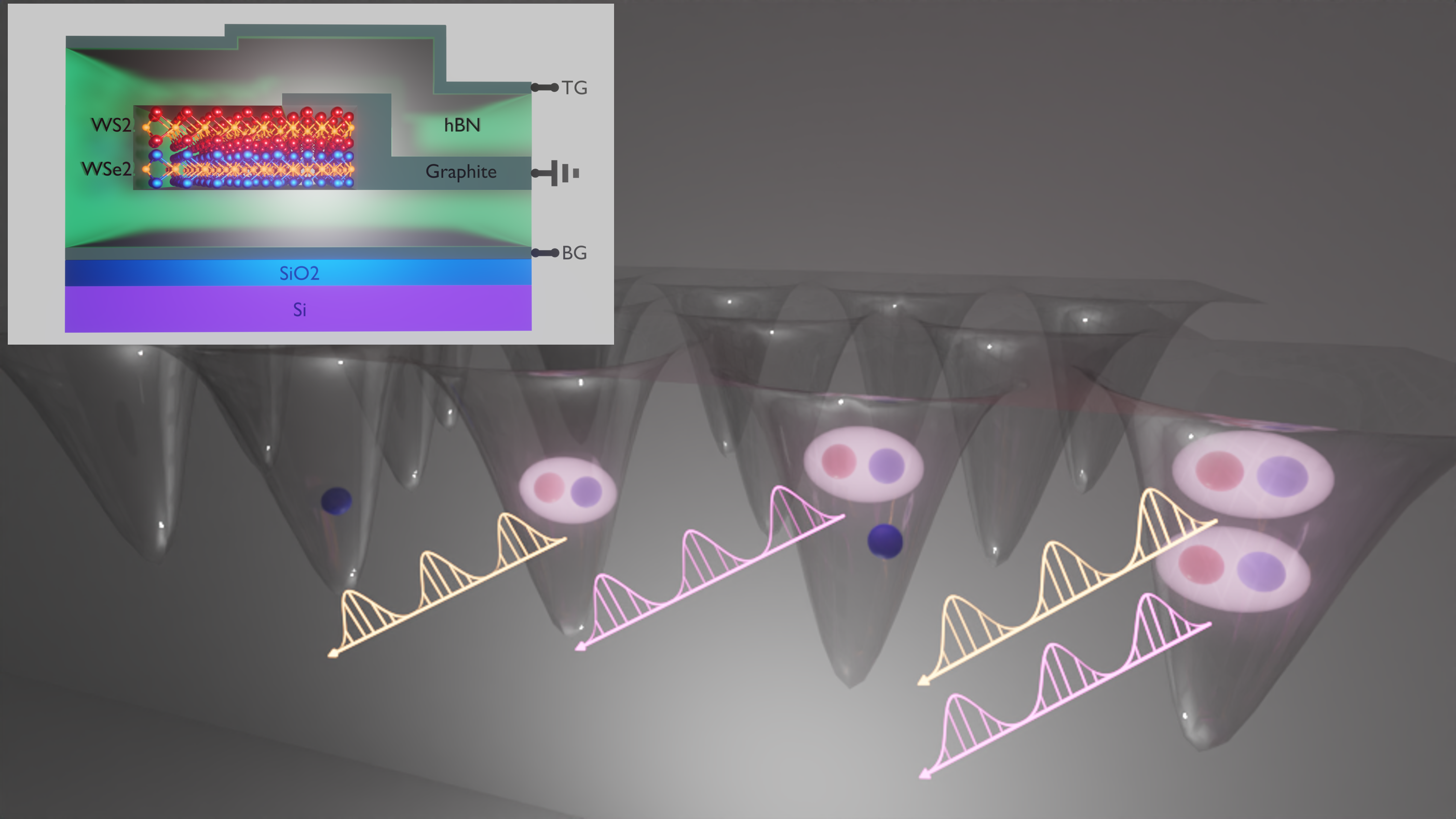 Excitonic Mott insulator in a Bose-Fermi-Hubbard system of moiré WS2/WSe2 bilayer