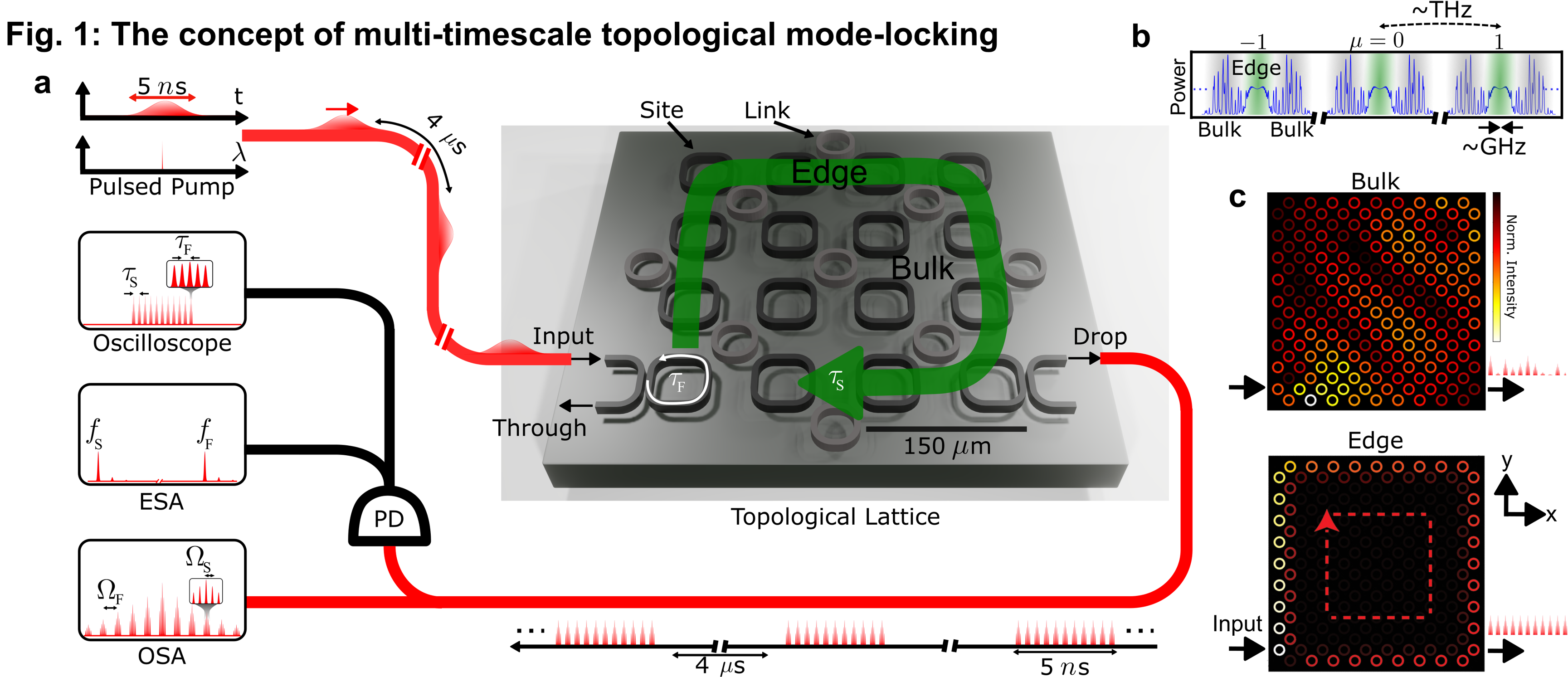 On-chip multi-timescale optical synchronization